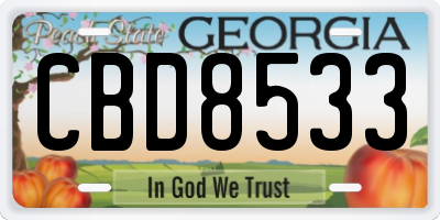 GA license plate CBD8533