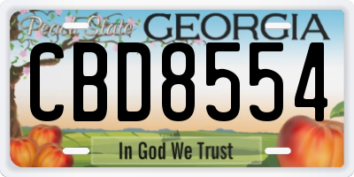 GA license plate CBD8554