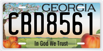 GA license plate CBD8561