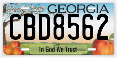 GA license plate CBD8562