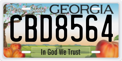 GA license plate CBD8564