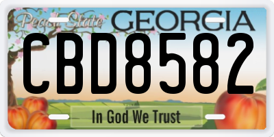GA license plate CBD8582