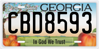 GA license plate CBD8593