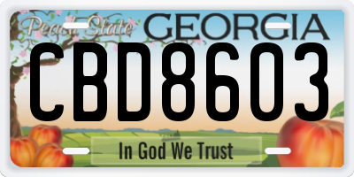 GA license plate CBD8603