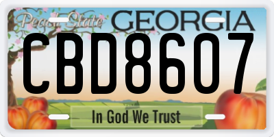 GA license plate CBD8607