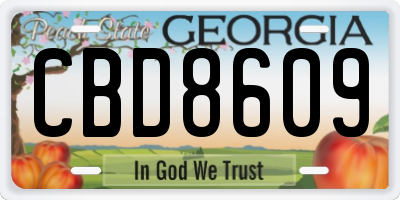 GA license plate CBD8609