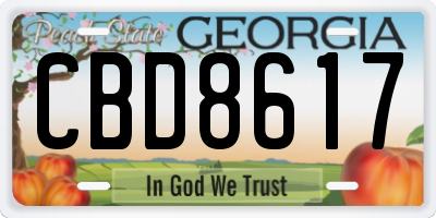GA license plate CBD8617