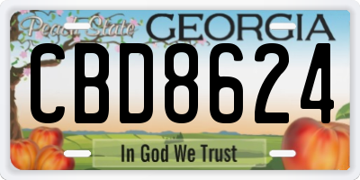GA license plate CBD8624