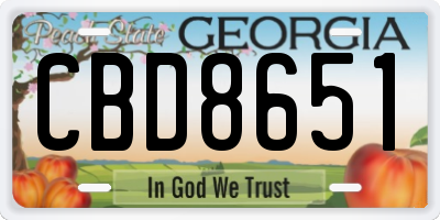 GA license plate CBD8651