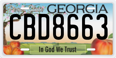 GA license plate CBD8663