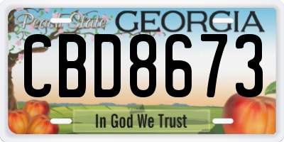 GA license plate CBD8673