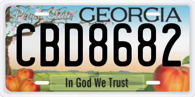 GA license plate CBD8682