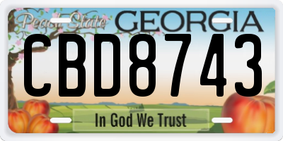 GA license plate CBD8743