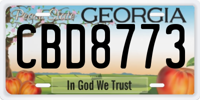 GA license plate CBD8773