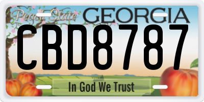 GA license plate CBD8787