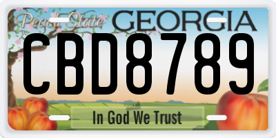 GA license plate CBD8789