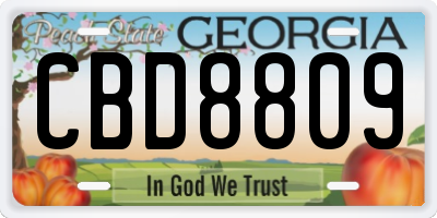 GA license plate CBD8809