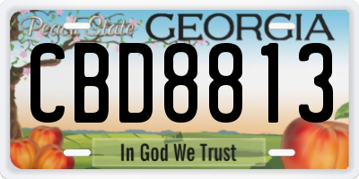 GA license plate CBD8813