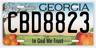 GA license plate CBD8823