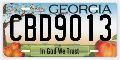 GA license plate CBD9013