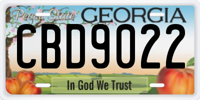 GA license plate CBD9022