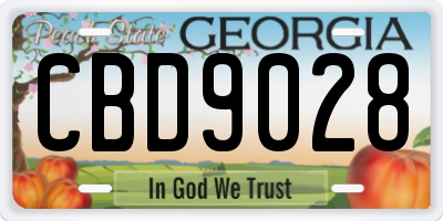 GA license plate CBD9028