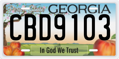 GA license plate CBD9103