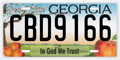 GA license plate CBD9166