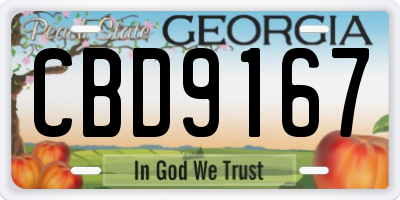GA license plate CBD9167