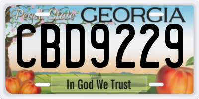 GA license plate CBD9229