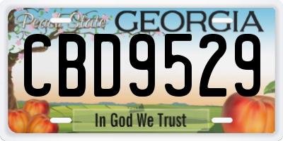 GA license plate CBD9529