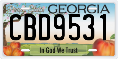 GA license plate CBD9531