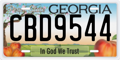 GA license plate CBD9544