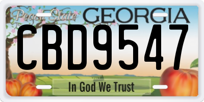 GA license plate CBD9547