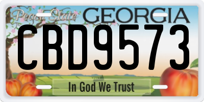 GA license plate CBD9573