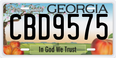 GA license plate CBD9575