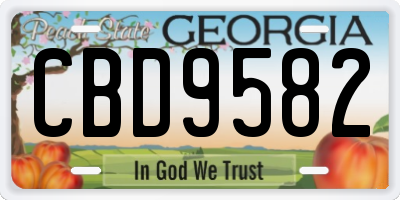 GA license plate CBD9582