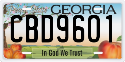 GA license plate CBD9601