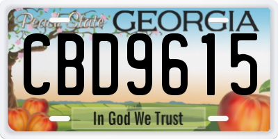 GA license plate CBD9615