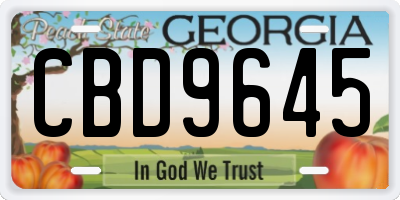 GA license plate CBD9645
