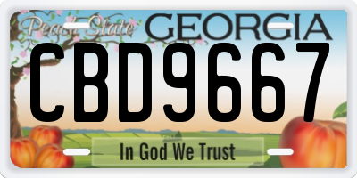 GA license plate CBD9667