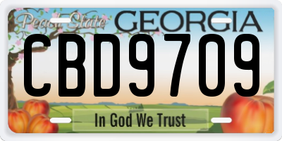 GA license plate CBD9709