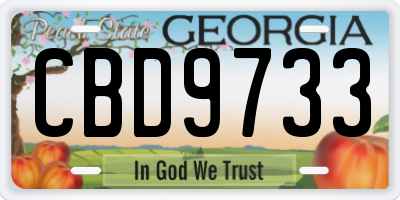 GA license plate CBD9733