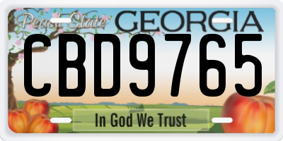 GA license plate CBD9765