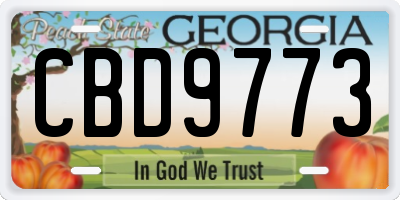 GA license plate CBD9773
