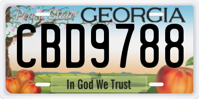 GA license plate CBD9788