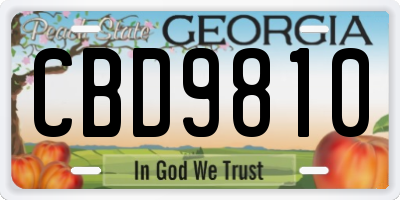 GA license plate CBD9810