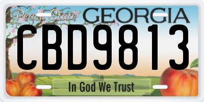 GA license plate CBD9813