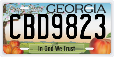 GA license plate CBD9823