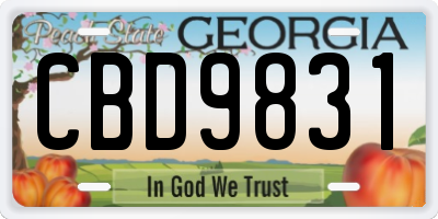 GA license plate CBD9831